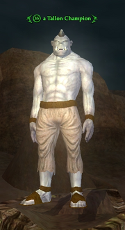 A Tallon Champion