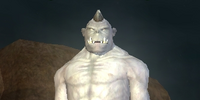 A Tallon Champion