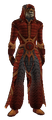 Elementalist's Astral (Armor Set).png