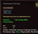 Tradesman's Earring