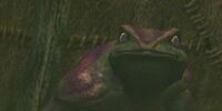 A Froglok child (Lost VoK)