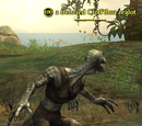 A frenzied Clotl'thoa zealot