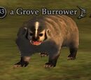 A Grove Burrower