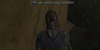 An unliving soldier