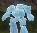 A Rime icebound battler