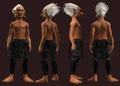 Animist's Chausses of the Citadel (Equipped).png