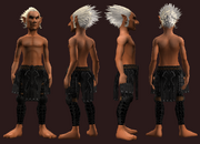 Animist's Chausses of the Citadel (Equipped)