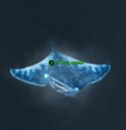 A blue manta.png