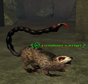 A venomouse scavenger
