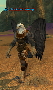 A Blacktalon conscript