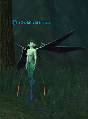 A Darkflight initiate