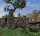 Camp Riridus