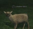A timber deer