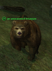 An unseasoned briarpaw