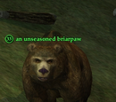 An unseasoned briarpaw