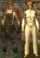 Race kerran.jpg