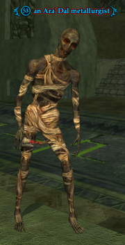An Ara' Dal metallurgist (Heroic)
