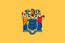 New Jersey Flag