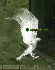 An eternal falcon