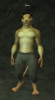 Reza