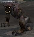 A yarpsnarl yapper.jpg