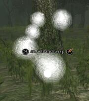An ashland wisp