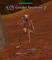 Greater Spurbone
