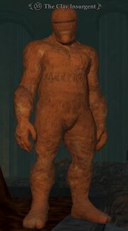 The Clay Insurgent