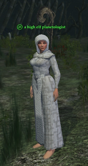 A high elf planetologist