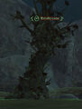 Bristlecone.jpg
