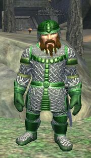Irontoe guard