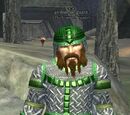 An Irontoe guard