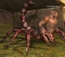 Herd Master Rudek