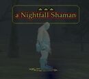 Nightfall Shaman