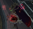 Zlandicar's Tortured Heart