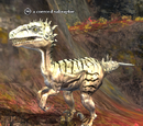 A coerced saliraptor