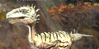 A coerced saliraptor