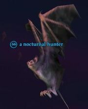 Nocturnal hunter