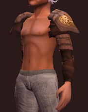 Earthkeeper's Shoulderpads (Equipped)