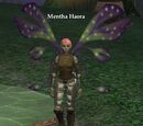 Mentha Haora