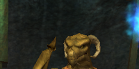 A Scaleborn ritualist