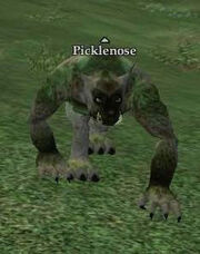 Picklenose