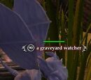 A graveyard watcher