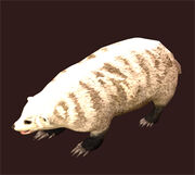 Arctic-badger