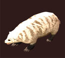 Arctic Badger