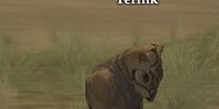 Ferink
