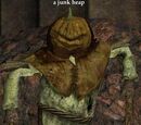 A junk heap