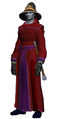 Beaded Robe of Souls (Visible).jpg