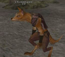 A Rockpaw guard