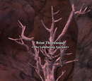 Brint Thornwood